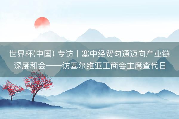 世界杯(中国) 专访丨塞中经贸勾通迈向产业链深度和会——访塞尔维亚工商会主席查代日