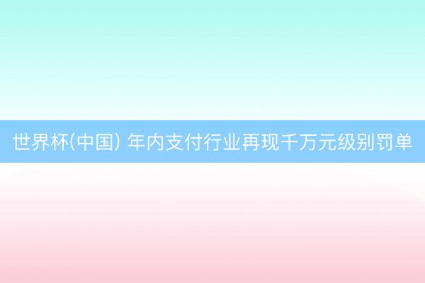 世界杯(中国) 年内支付行业再现千万元级别罚单