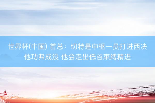 世界杯(中国) 普总：切特是中枢一员打进西决他功弗成没 他会走出低谷束缚精进