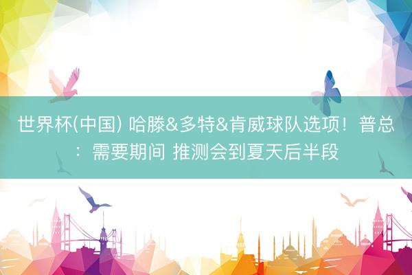 世界杯(中国) 哈滕&多特&肯威球队选项!普总:需要期间 推测会到夏天后半段