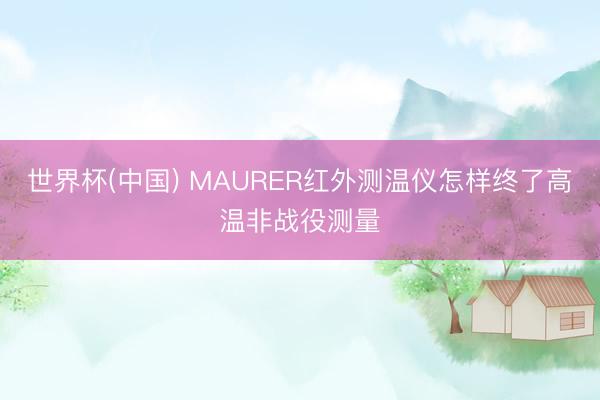 世界杯(中国) MAURER红外测温仪怎样终了高温非战役测量