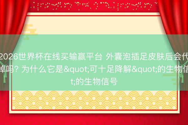 2026世界杯在线买输赢平台 外囊泡插足皮肤后会代谢掉吗? 为什么它是"可十足降解"的生物信号