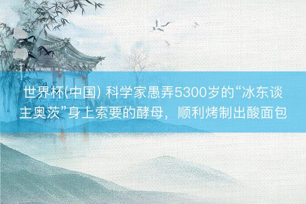 世界杯(中国) 科学家愚弄5300岁的“冰东谈主奥茨”身上索要的酵母，顺利烤制出酸面包