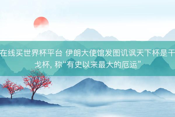 在线买世界杯平台 伊朗大使馆发图讥讽天下杯是干戈杯， 称“有史以来最大的厄运”