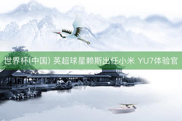 世界杯(中国) 英超球星赖斯出任小米 YU7体验官