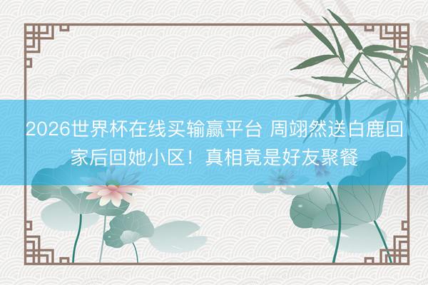 2026世界杯在线买输赢平台 周翊然送白鹿回家后回她小区!真相竟是好友聚餐