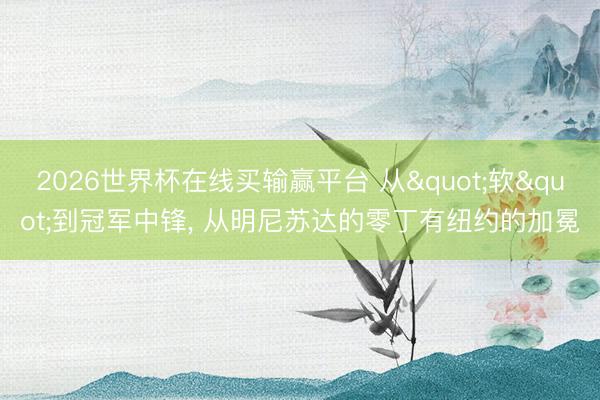 2026世界杯在线买输赢平台 从"软"到冠军中锋, 从明尼苏达的零丁有纽约的加冕