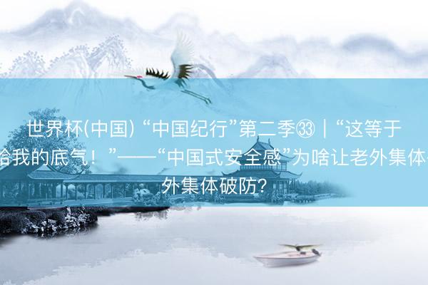 世界杯(中国) “中国纪行”第二季㉝|“这等于中国给我的底气!”——“中国式安全感”为啥让老外集体破防?