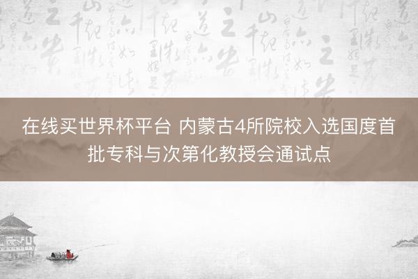 在线买世界杯平台 内蒙古4所院校入选国度首批专科与次第化教授会通试点