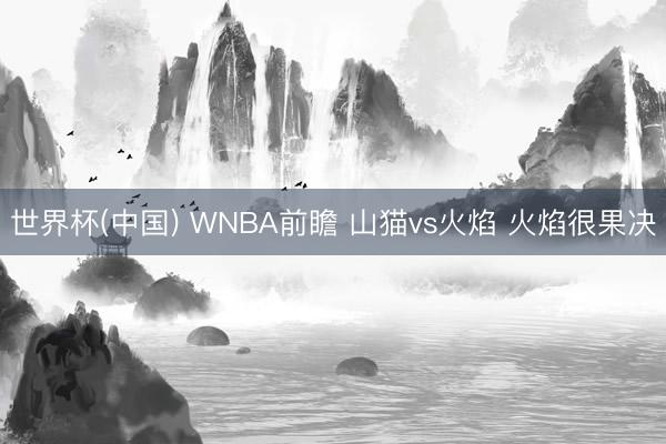 世界杯(中国) WNBA前瞻 山猫vs火焰 火焰很果决