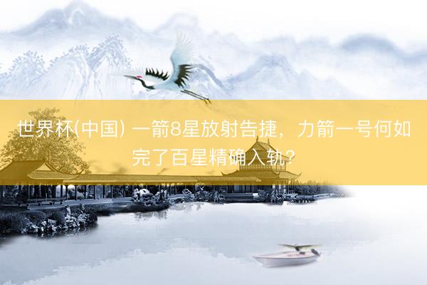 世界杯(中国) 一箭8星放射告捷，力箭一号何如完了百星精确入轨？