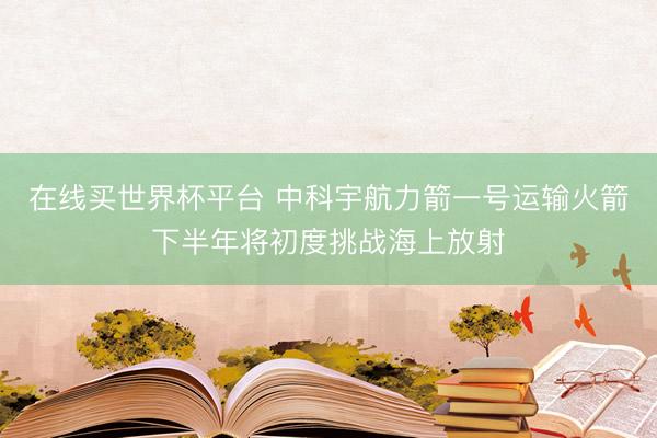 在线买世界杯平台 中科宇航力箭一号运输火箭下半年将初度挑战海上放射