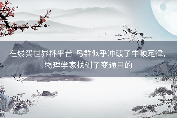 在线买世界杯平台 鸟群似乎冲破了牛顿定律， 物理学家找到了变通目的