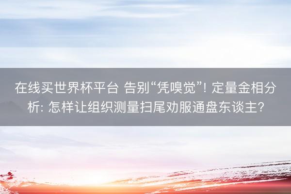 在线买世界杯平台 告别“凭嗅觉”! 定量金相分析: 怎样让组织测量扫尾劝服通盘东谈主?