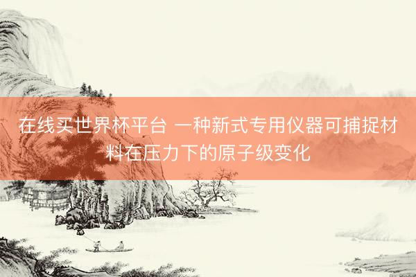在线买世界杯平台 一种新式专用仪器可捕捉材料在压力下的原子级变化