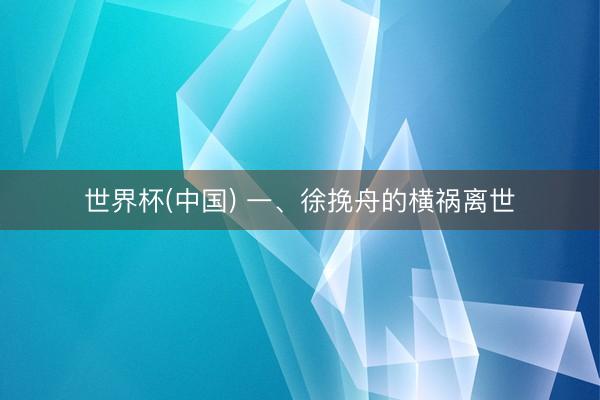 世界杯(中国) 一、徐挽舟的横祸离世