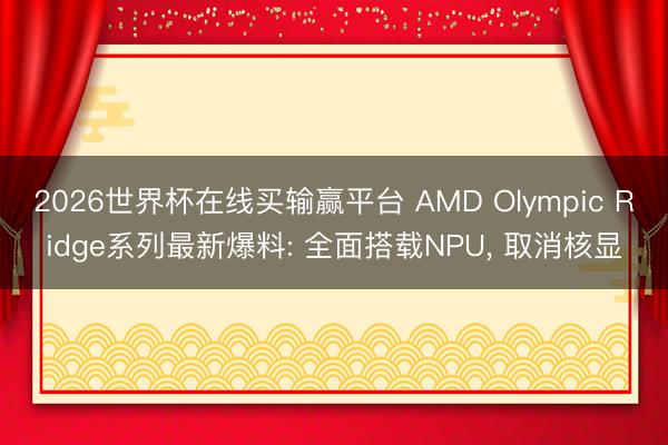 2026世界杯在线买输赢平台 AMD Olympic Ridge系列最新爆料: 全面搭载NPU， 取消核显