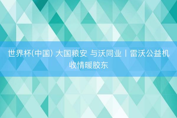 世界杯(中国) 大国粮安 与沃同业丨雷沃公益机收情暖胶东
